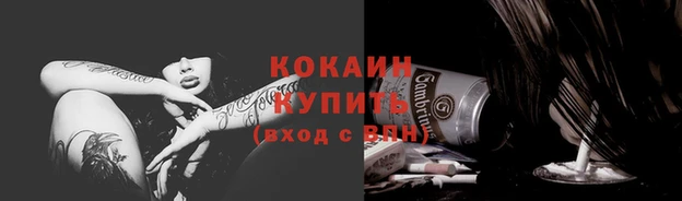 прущие грибы Корсаков